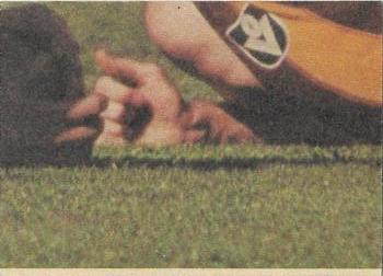 1979 Scanlens VFL #39 Michael Young Back